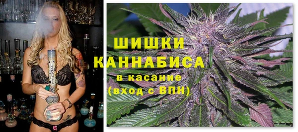 крисы Белоозёрский