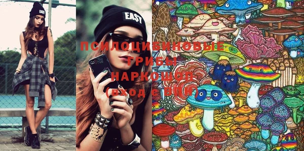 PSILOCYBIN Балабаново