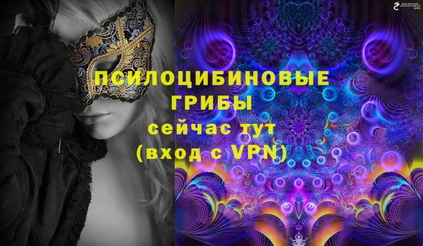 тгк Беломорск
