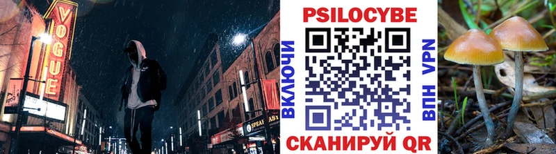 гидра tor как найти закладки Покровск Псилоцибиновые грибы Cubensis